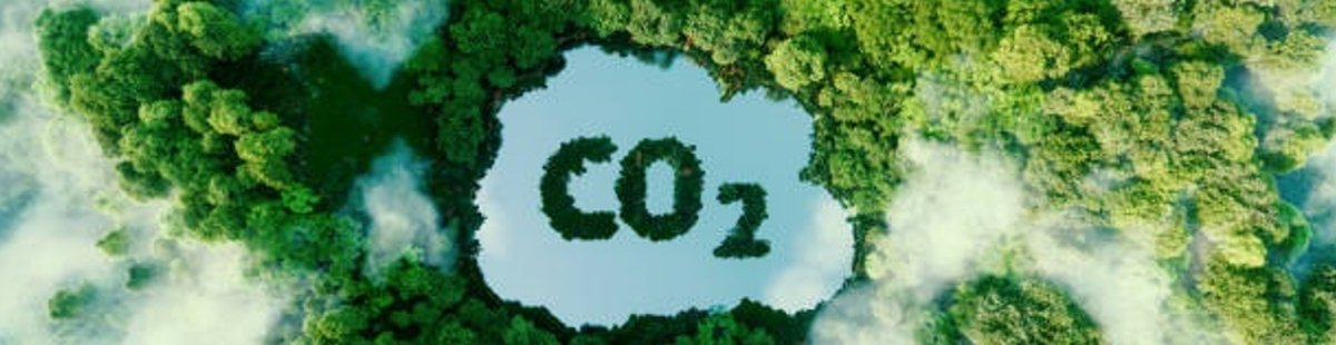  Photovoltaïque et environnement : combien d’arbres votre installation vaut-elle ? 